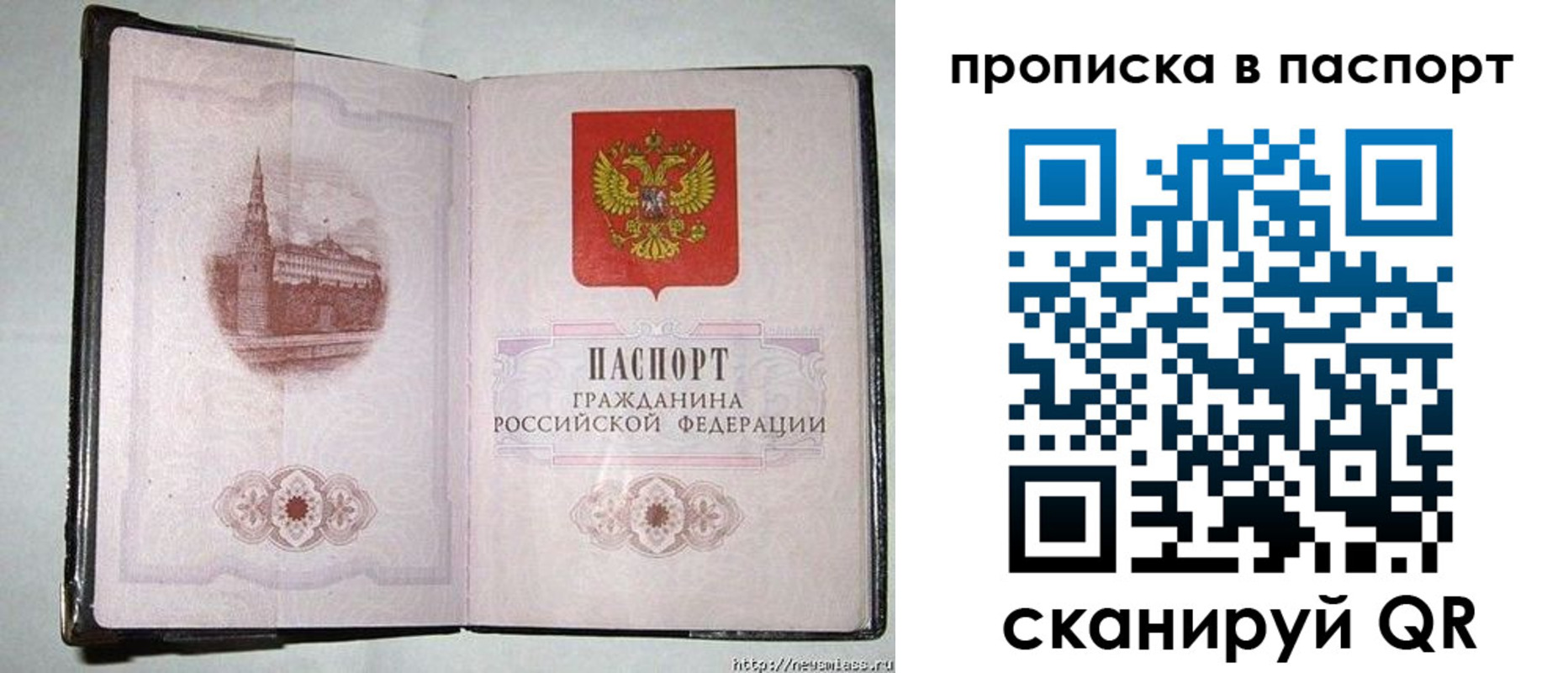 прописка штамп в Рошале